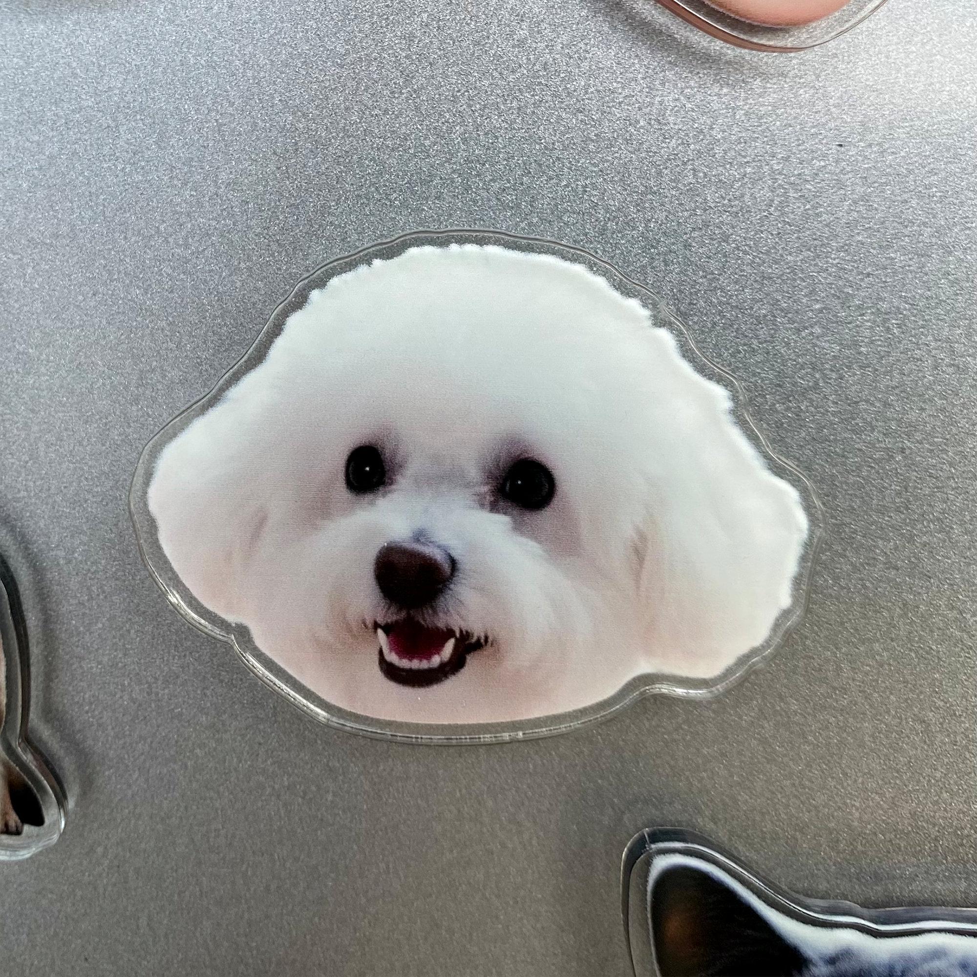 Custom Shaped Fridge Magnet, Photo Refrigerator Magnet, Cut Pet Magnet, Family Vacation Photo Magnet, Face Picture Magnet, Photo Print Gift