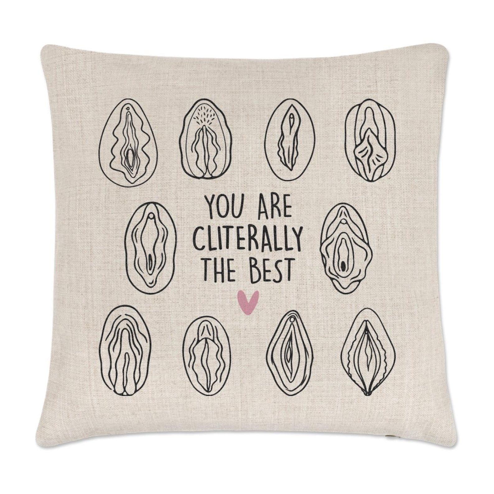You Are Cliterally The Best Cushion Cover Funny Rude Joke Lesbian LGBT Literally Pun Awesome Friend Valentines Day